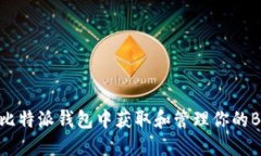如何在比特派钱包中获取